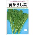 送料無料　[葉物]　黄からし菜　20ml
