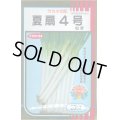 送料無料　[ねぎ]　夏扇4号　20ml　(裸種子)　(株)サカタのタネ
