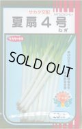 送料無料　[ねぎ]　夏扇4号　20ml　(裸種子)　(株)サカタのタネ