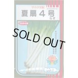 送料無料　[ねぎ]　夏扇4号　20ml　(裸種子)　(株)サカタのタネ