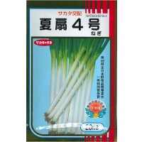 送料無料　[ねぎ]　夏扇4号　20ml　(裸種子)　(株)サカタのタネ