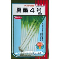 [ねぎ]　夏扇4号　20ml （裸種子）　（株）サカタのタネ