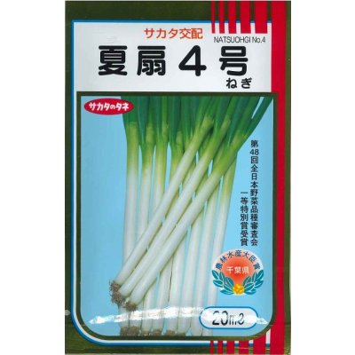 画像1: [ねぎ]　夏扇4号　20ml （裸種子）　（株）サカタのタネ