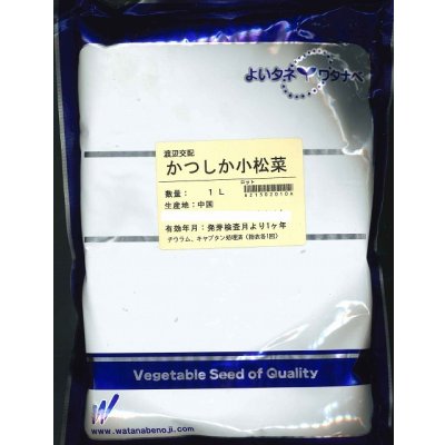画像1: 送料無料　[小松菜]　かつしか　1L　渡辺農事（株）