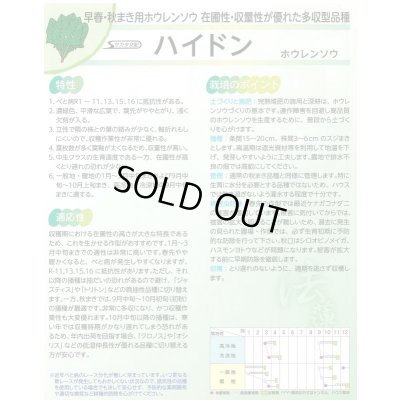 画像3: [ほうれんそう]　ハイドン　種子サイズ：M　3万粒　（株）サカタのタネ