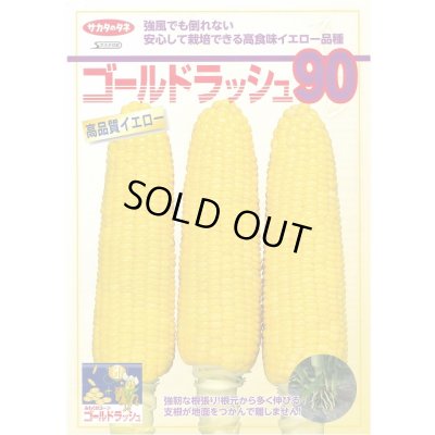 画像4: 送料無料　[とうもろこし]　ゴールドラッシュ90　200粒　(株)サカタのタネ