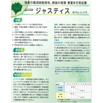 画像2: [ほうれんそう]　ジャスティス　約900粒　サカタのタネ（株）　実咲300