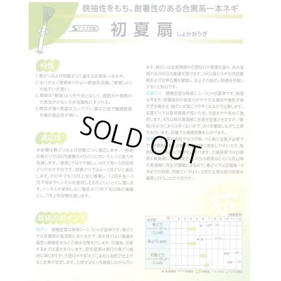 画像2: 送料無料　[ねぎ]　初夏扇　1dl(裸種子)　(株)サカタのタネ