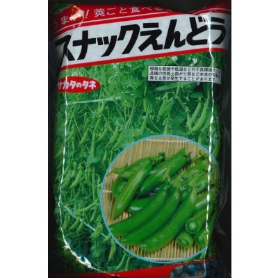 画像1: [えんどう]　スナックエンドウ　1L(およそ3230粒)　(株)サカタのタネ