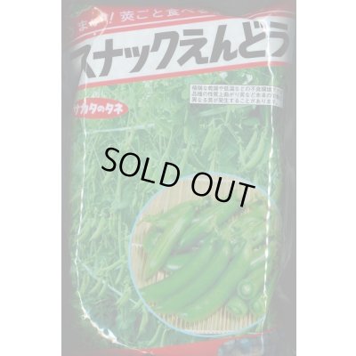 画像1: [えんどう]　スナックエンドウ　1L(およそ3230粒)　(株)サカタのタネ