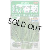 送料無料　[葉物]　しゅんぎく　きくまろ　約5000粒　(株)サカタのタネ　実咲350（002987）