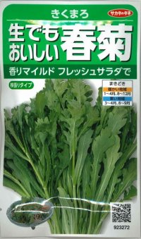 [葉物]　しゅんぎく　きくまろ　約5000粒　サカタのタネ（株）　実咲300