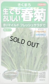 送料無料　[葉物]　しゅんぎく　きくまろ　約5000粒　(株)サカタのタネ　実咲350（002987）