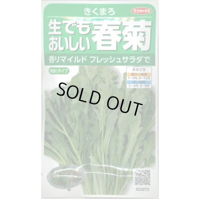 画像1: 送料無料　[葉物]　しゅんぎく　きくまろ　約5000粒　(株)サカタのタネ　実咲350（002987）