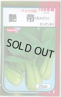 送料無料　[中国野菜]　チンゲンサイ　艶帝　20ml　(株)サカタのタネ