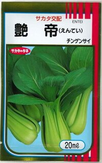 送料無料　[中国野菜]　チンゲンサイ　艶帝　20ml　(株)サカタのタネ
