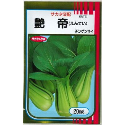 画像1: 送料無料　[中国野菜]　チンゲンサイ　艶帝　20ml　(株)サカタのタネ