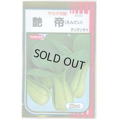 画像1: [中国野菜]　チンゲンサイ　艶帝　20ｍｌ　サカタ交配　