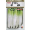 送料無料　[大根]　千都　20ml　タキイ種苗(株)