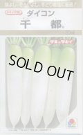 送料無料　[大根]　千都　20ml　タキイ種苗(株)