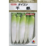 送料無料　[大根]　千都　20ml　タキイ種苗(株)