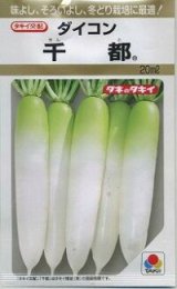 送料無料　[大根]　千都　20ml　タキイ種苗(株)