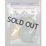 送料無料　[かぼちゃ]　みやこ　100粒　(株)サカタのタネ