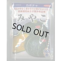 送料無料　[かぼちゃ]　みやこ　100粒　(株)サカタのタネ