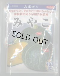 送料無料　[かぼちゃ]　みやこ　100粒　(株)サカタのタネ