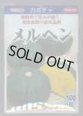 送料無料　[かぼちゃ]　メルヘン　100粒　(株)サカタのタネ