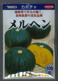 [かぼちゃ]　メルヘン　100粒　　サカタ交配