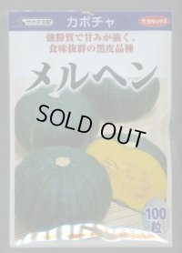 送料無料　[かぼちゃ]　メルヘン　100粒　(株)サカタのタネ