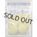 送料無料　[かぼちゃ]　コリンキー　100粒　(株)サカタのタネ