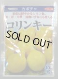 送料無料　[かぼちゃ]　コリンキー　100粒　(株)サカタのタネ