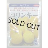 送料無料　[かぼちゃ]　コリンキー　100粒　(株)サカタのタネ