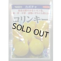 送料無料　[かぼちゃ]　コリンキー　100粒　(株)サカタのタネ