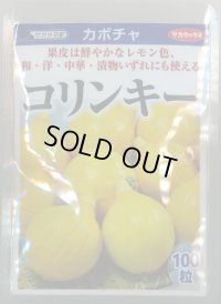 送料無料　[かぼちゃ]　コリンキー　100粒　(株)サカタのタネ