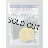 送料無料　[かぼちゃ]　ブラックのジョー　100粒　(株)サカタのタネ
