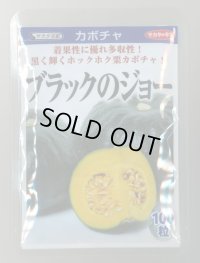 送料無料　[かぼちゃ]　ブラックのジョー　100粒　(株)サカタのタネ