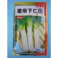 送料無料　[ねぎ]　雷帝下仁田　20ml　サカタのタネ(株)
