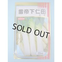 送料無料 [ねぎ] 雷帝下仁田 20ml サカタのタネ(株)