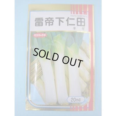 画像1: 送料無料 [ねぎ] 雷帝下仁田 20ml サカタのタネ(株)