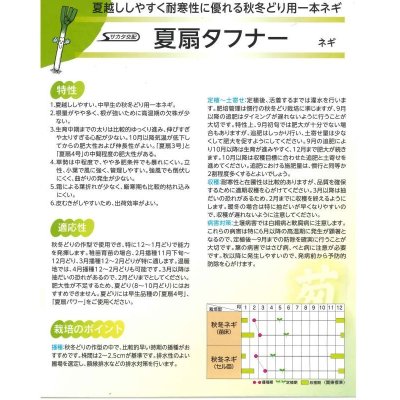 画像3: 送料無料 [ねぎ] 夏扇タフナー 1dl(裸種子) (株)サカタのタネ