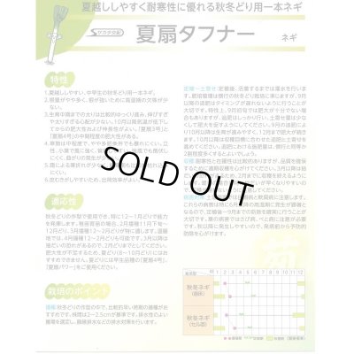 画像3: 送料無料　[ねぎ]　夏扇タフナー　1dl(裸種子)　(株)サカタのタネ