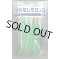 送料無料　[いんげん]　つるなし　モロッコ　1dl　タキイ種苗