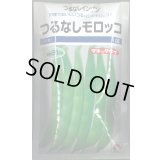 送料無料　[いんげん]　つるなし　モロッコ　1dl　タキイ種苗