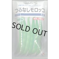 送料無料　[いんげん]　つるなし　モロッコ　1dl　タキイ種苗