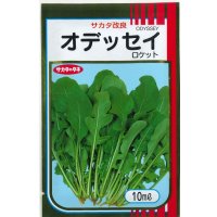 送料無料　[葉物]　ルッコラ　オデッセイ　ロケット　10ml　(株)サカタのタネ
