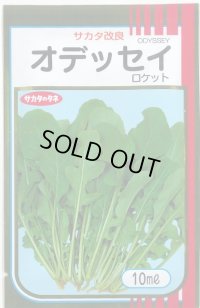 送料無料　[葉物]　ルッコラ　オデッセイ　ロケット　10ml　(株)サカタのタネ