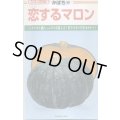 送料無料　[かぼちゃ]　恋するマロン　50粒　カネコ種苗（株）